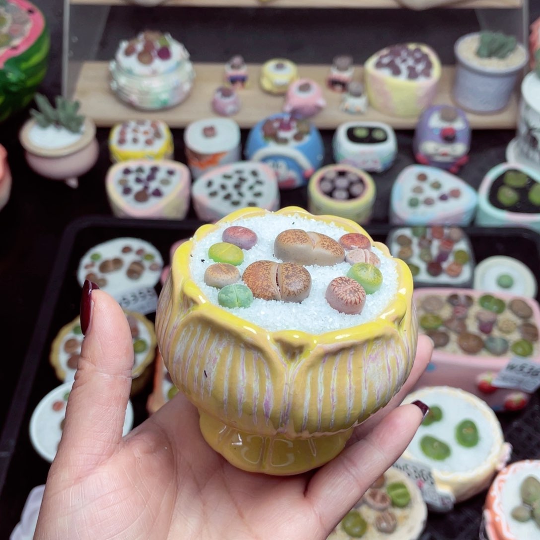 5373 -零下地区拍保温箱-15支持寄养