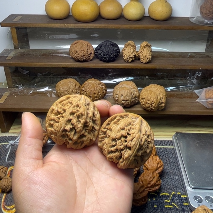 核桃粗筋修48.47.44