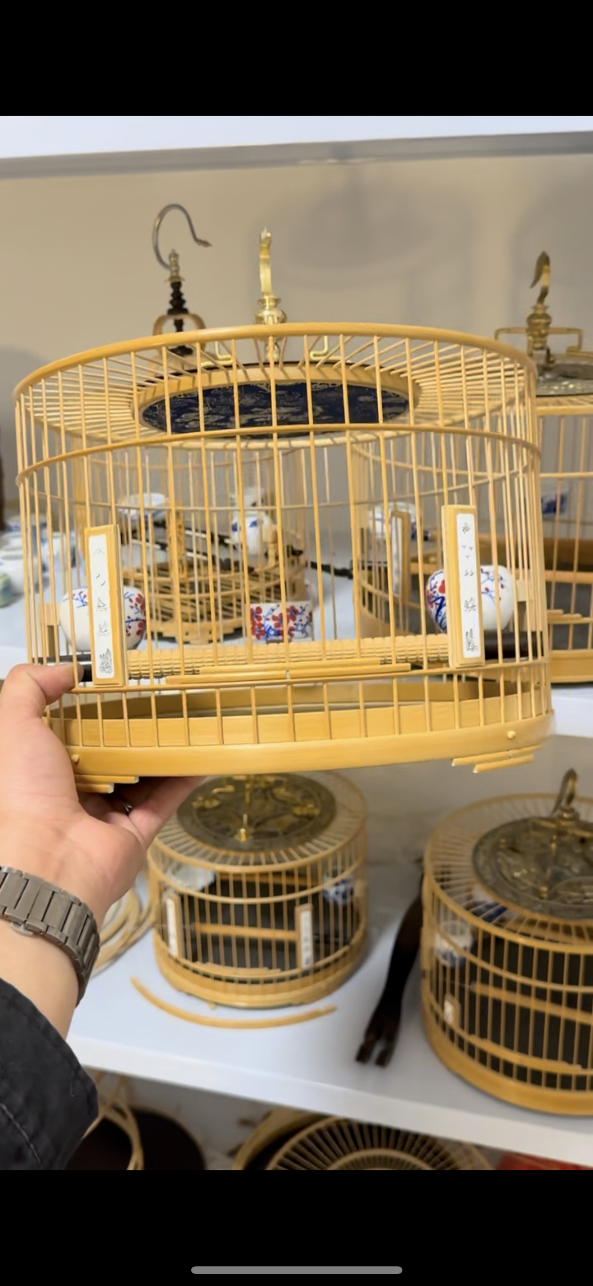 295竹制外插条笸箩底56条64条靛颏红子贝子鸟笼外插圈内贴青