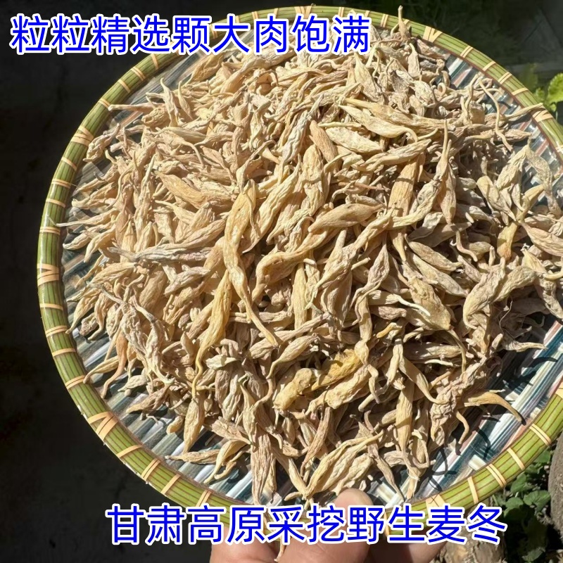 甘肃野生麦冬滋补佳品散装泡水精选