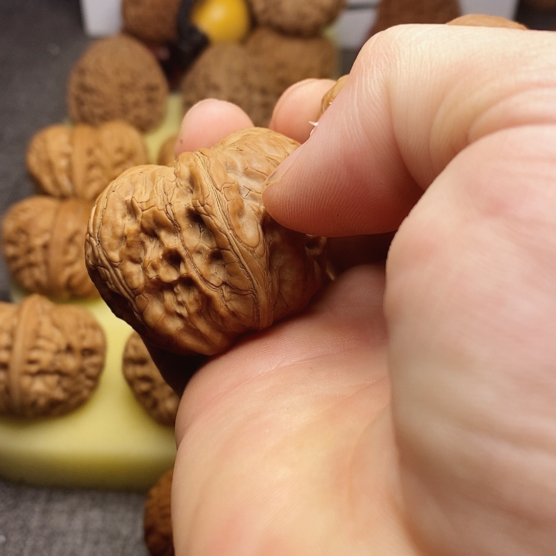 山***）43尺元宝文玩核桃