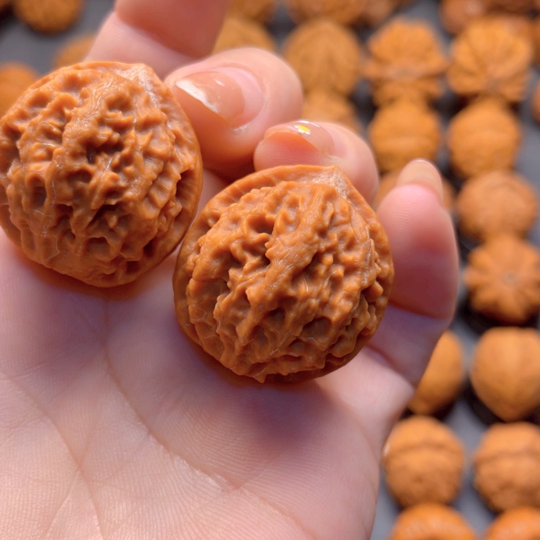 木****核桃把件小珊瑚野生