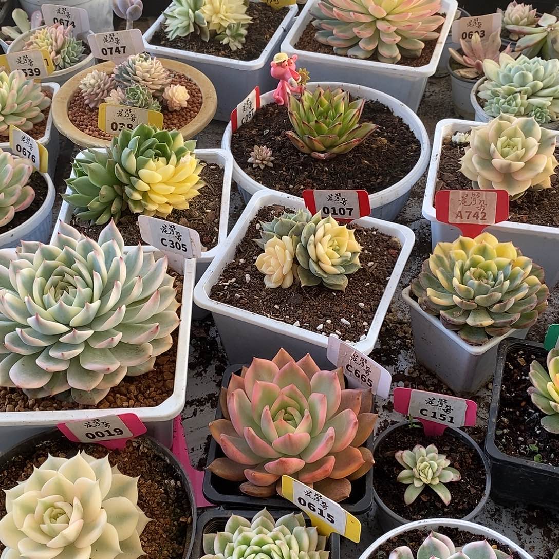 保温箱保温箱保温箱