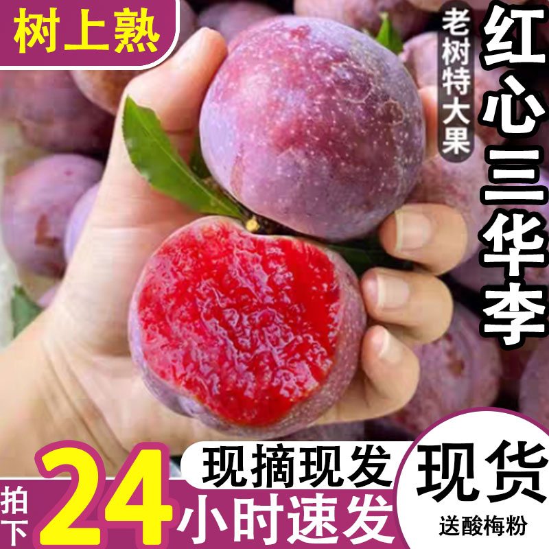 顺丰红心三华李新鲜老树采摘孕妇现摘水果李子脆爽多汁芙蓉钱包邮
