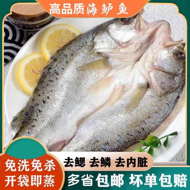  开背海鲈鱼/4条去鳞去鳃去内脏400-500g/条鲜嫩海鲜鱼类冷冻鲜美