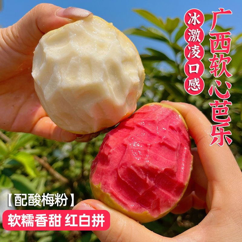 【包邮】现摘现发正宗广西奶油软芭乐番石榴树上熟新鲜水果软糯香甜