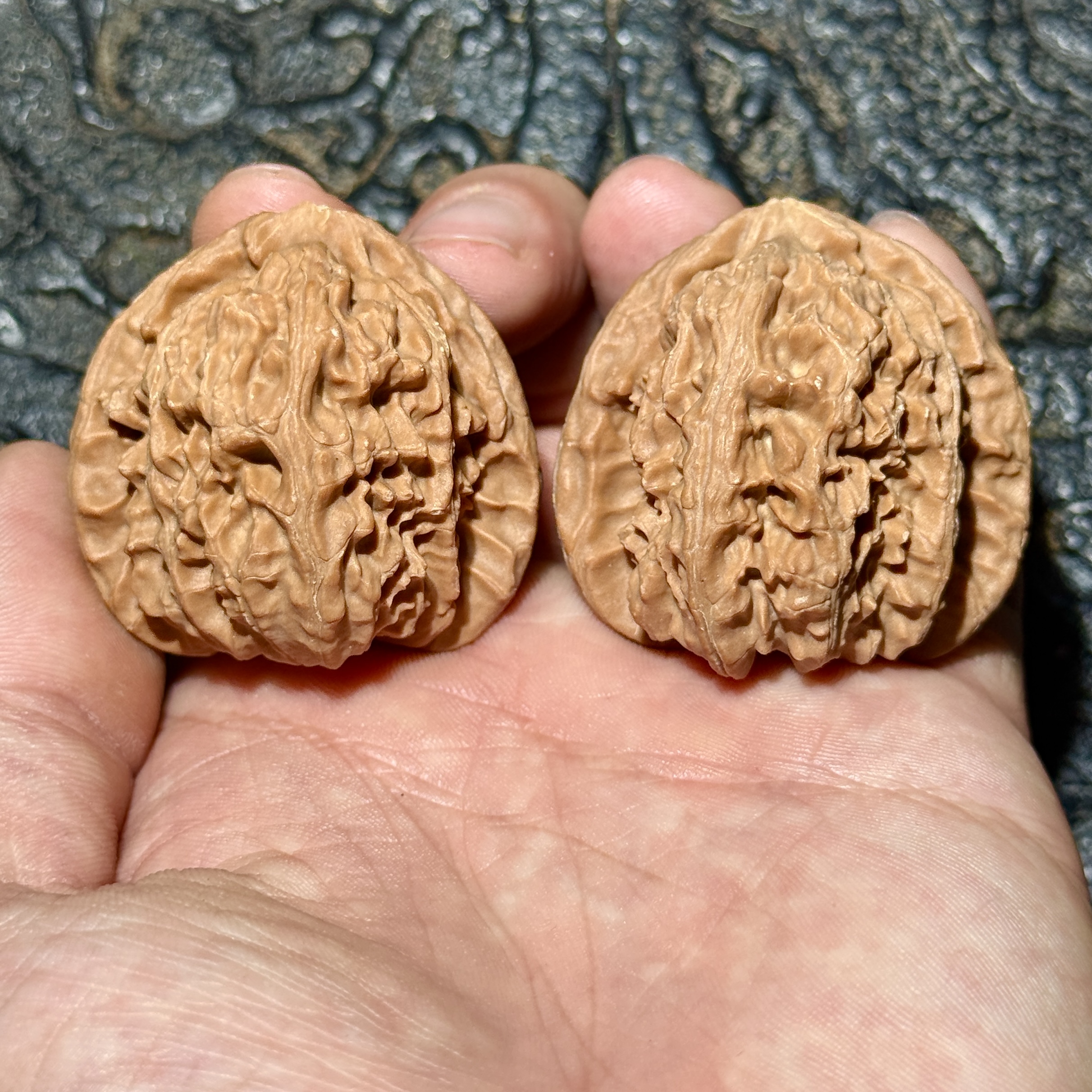 练手级别核桃 随机发货（强迫症请勿参与）