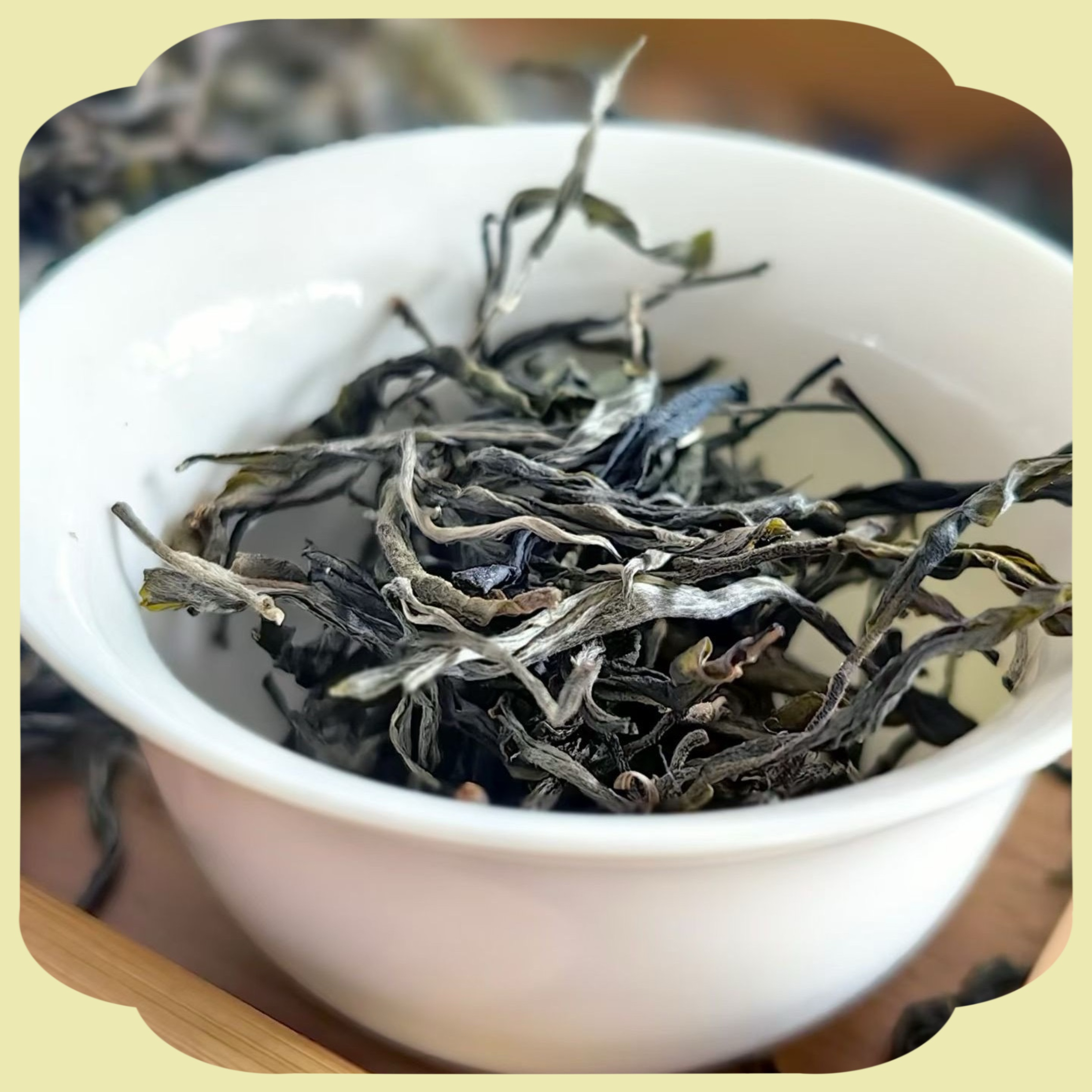 生茶品鉴装｜冰岛地界散茶100g