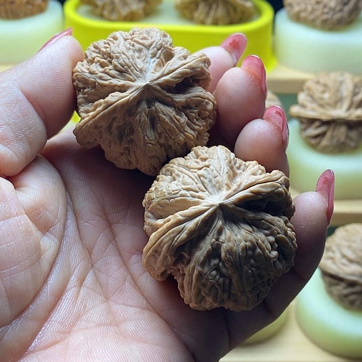 抢吧抢吧抢吧抢吧