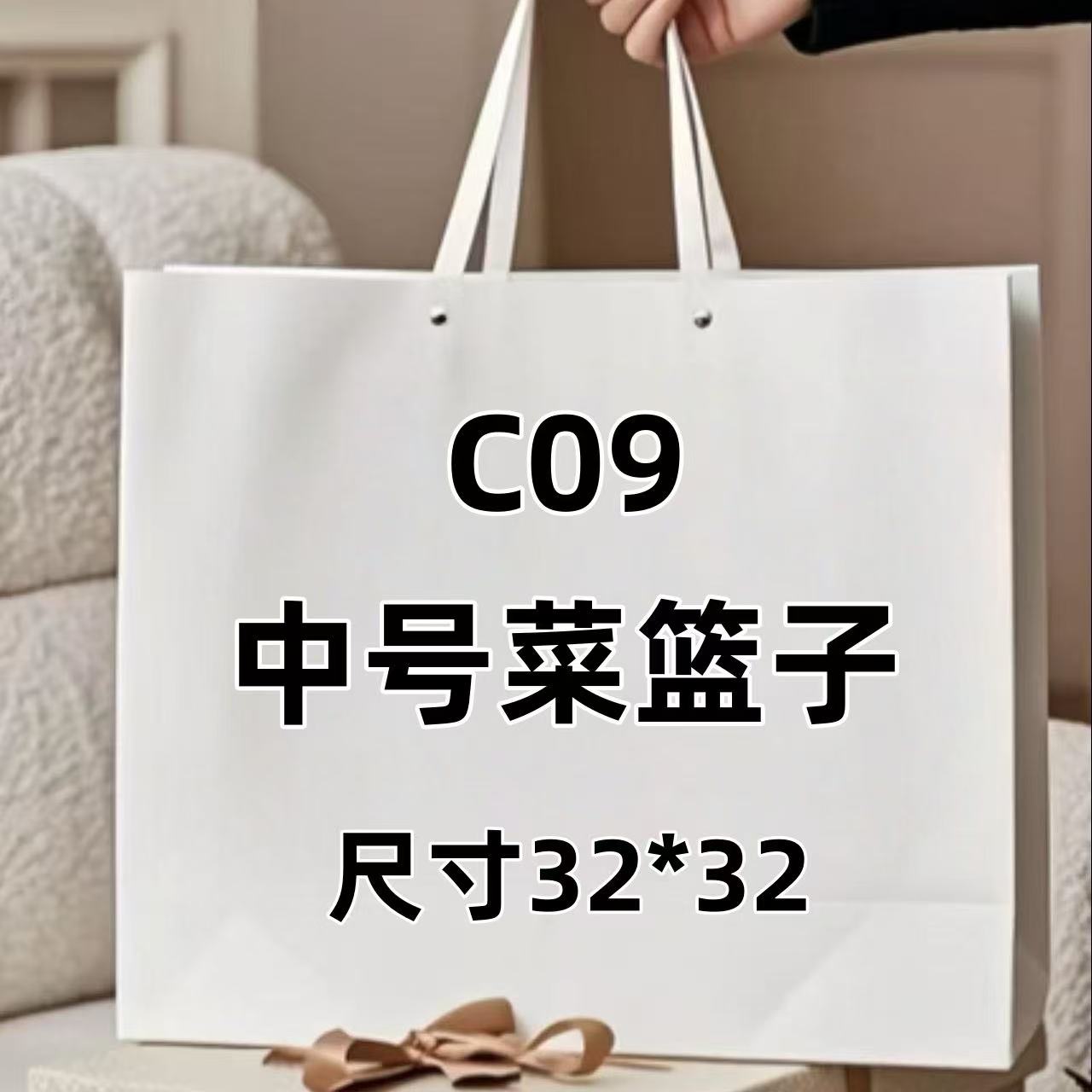 C09《中号菜篮子》