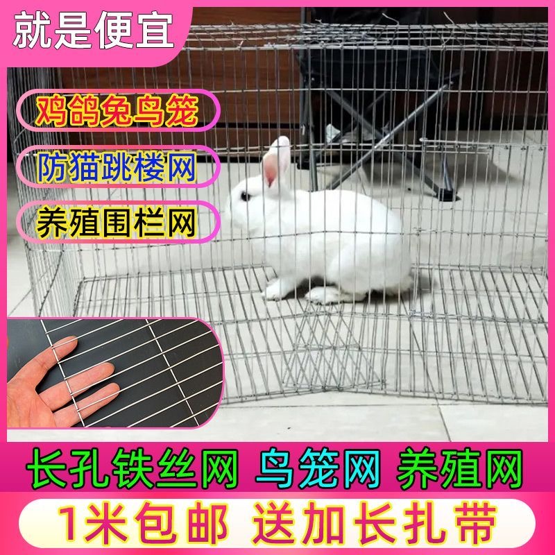 加密铁丝笼鸟笼鸡笼鸽子笼兔笼仓鼠鹦鹉运输笼养殖笼小鸡笼鹌鹑笼