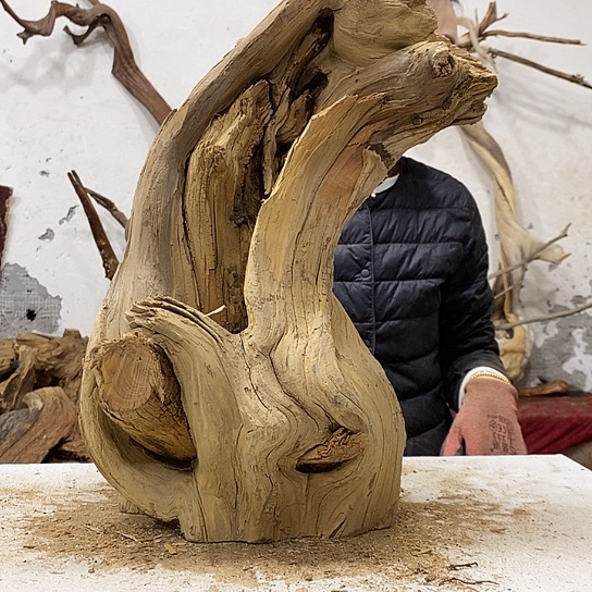 貳***誠柏木我们都是好孩子