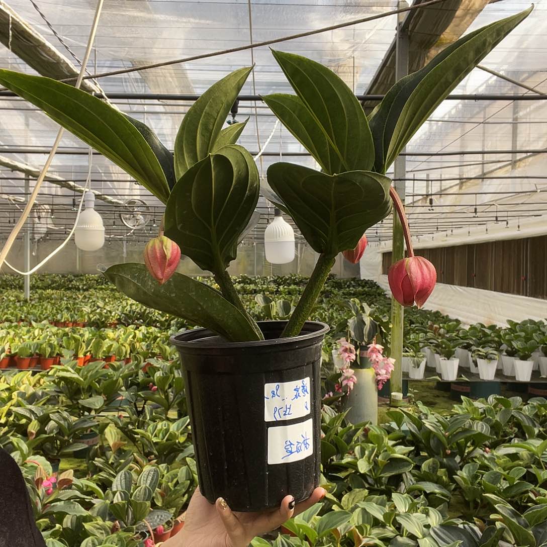 完全开放11111111