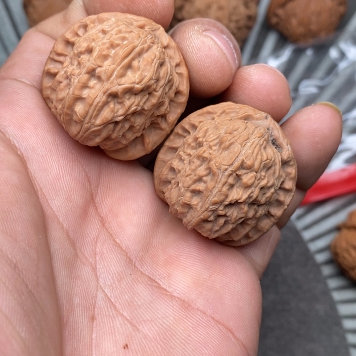 文玩核桃把件白狮子