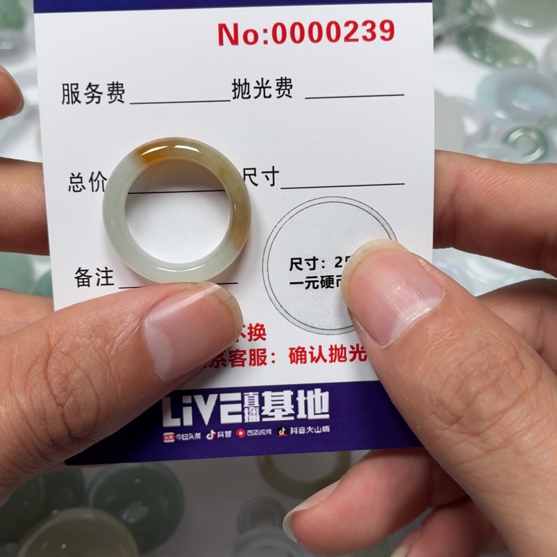 元***p翡翠未镶嵌颈饰03