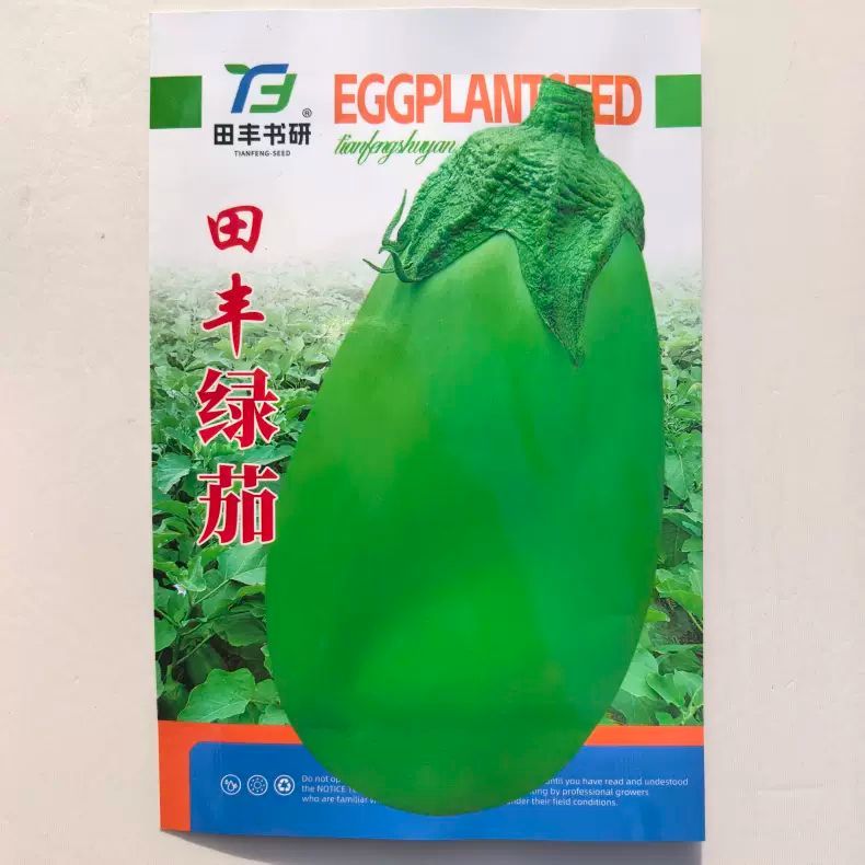 绿圆茄子种子果实卵圆形鲜绿色有光泽蔬菜籽