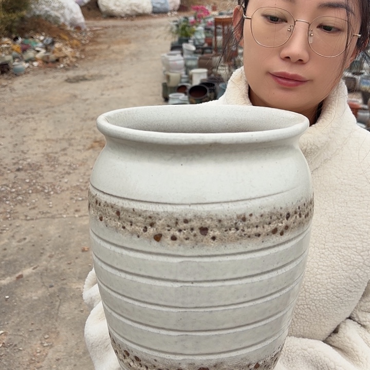 口20高30一个大花盆