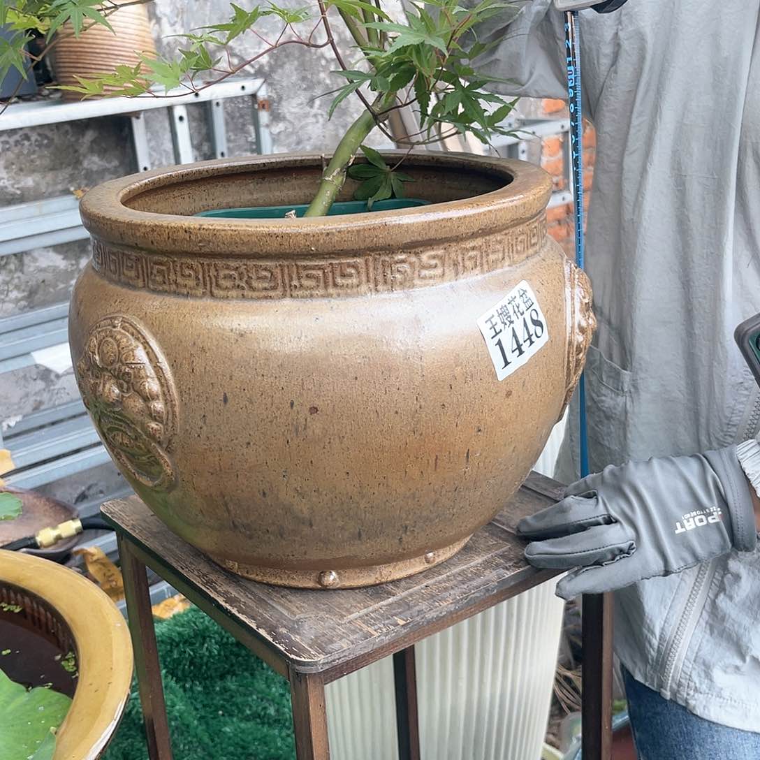 紫砂花盆王嫂花盆直播0530- 1448高25口30无孔