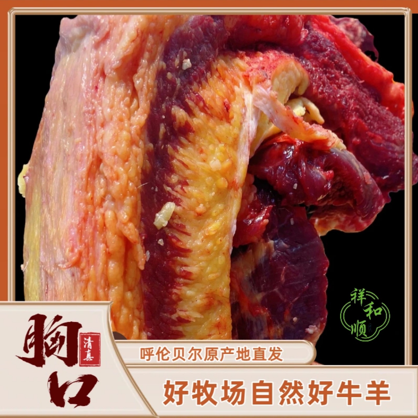 【牛胸口】肥瘦相间 呼伦贝尔原产地草饲散养  每日鲜切 5斤包邮