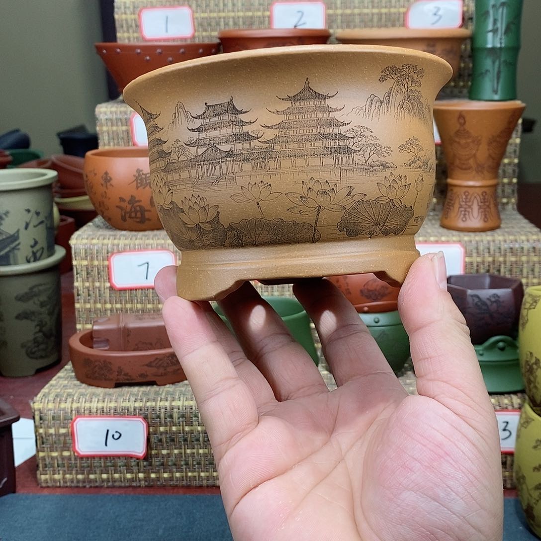 紫砂花盆你是在搞