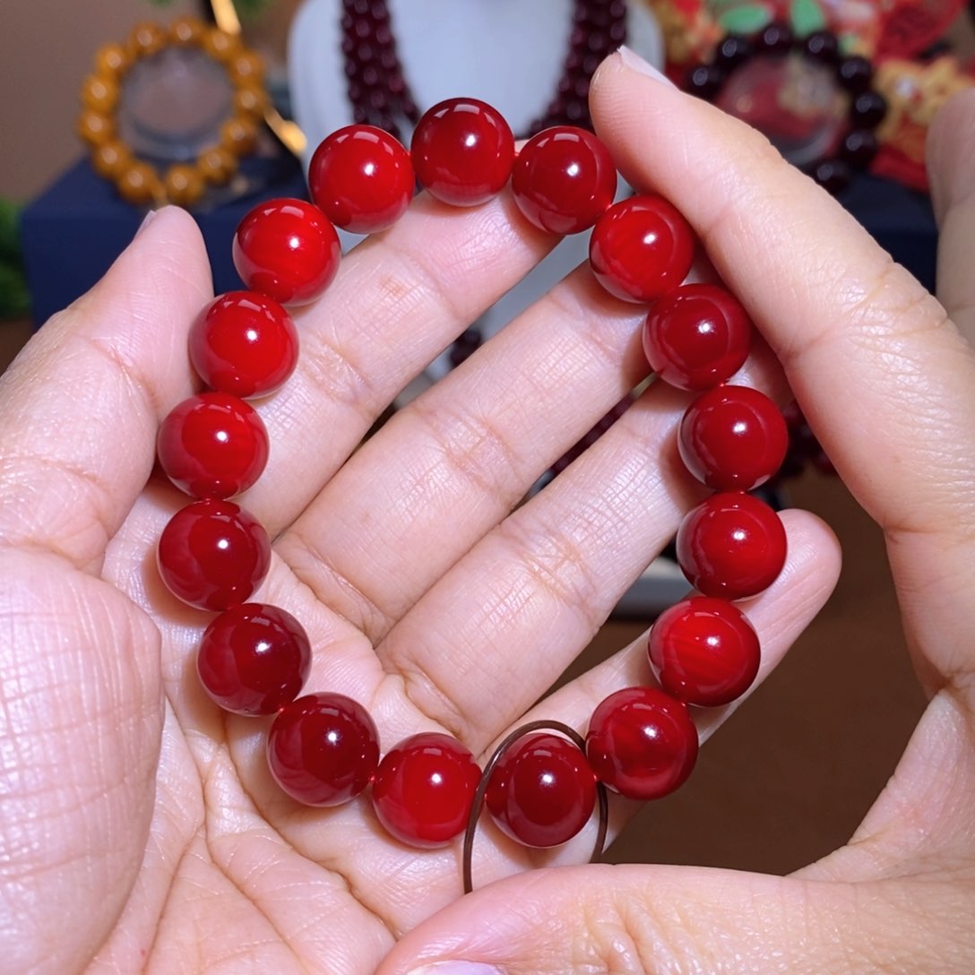 贝壳杉帝王血龙木1.2