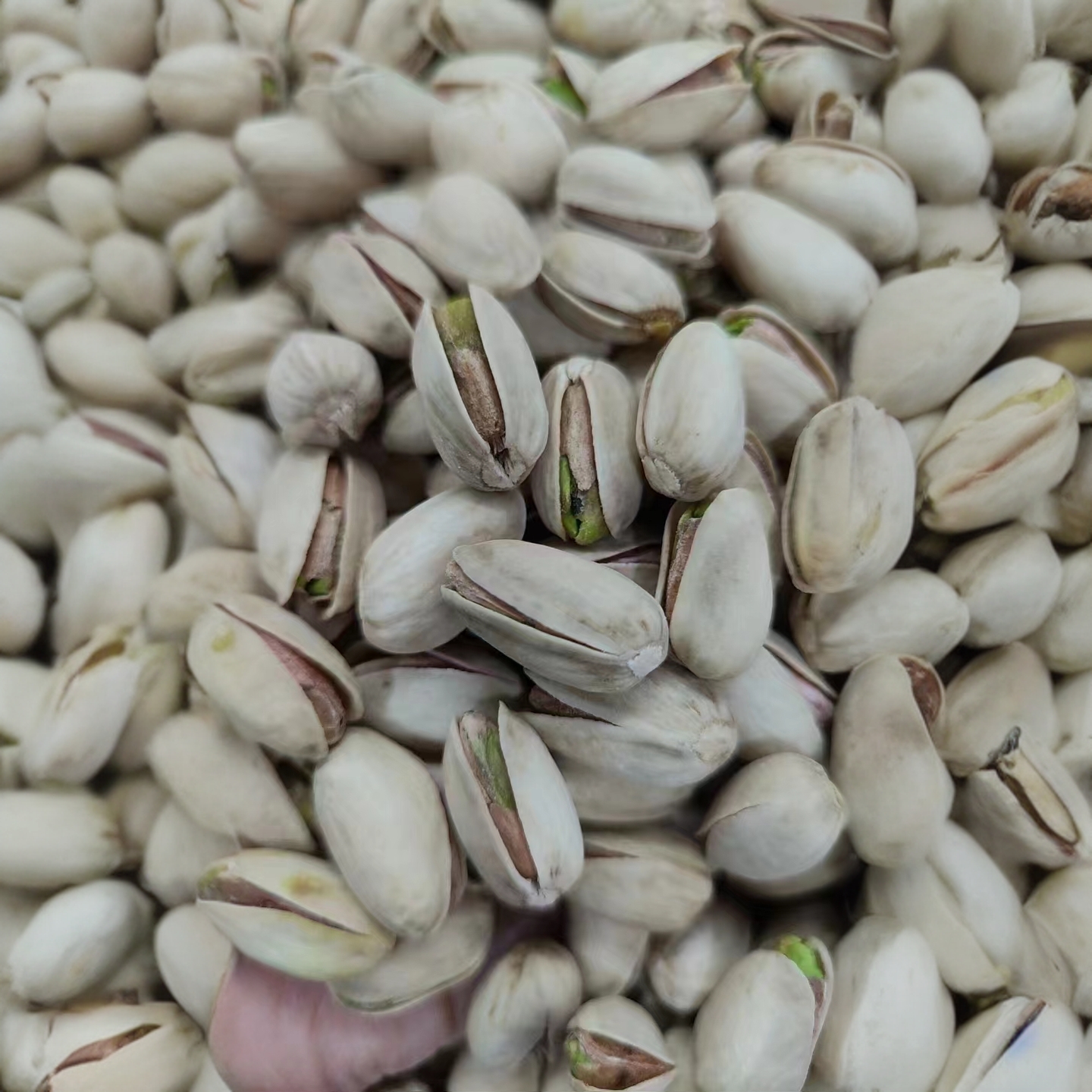 宝珠甄选-开心果