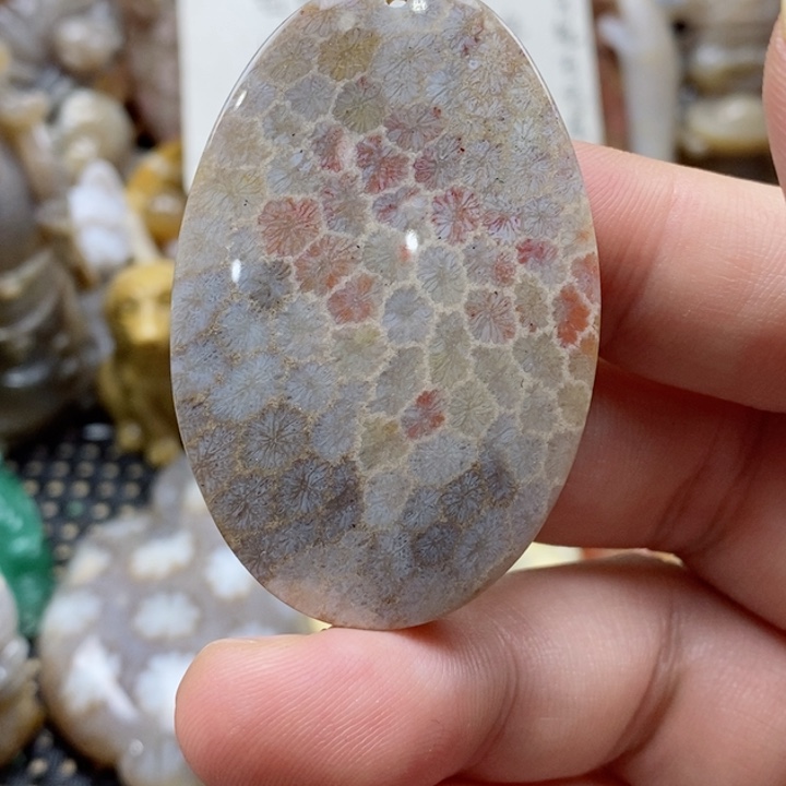 硅化珊瑚（珊瑚玉）颈饰未镶嵌