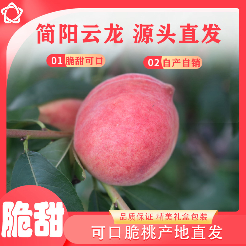【顺丰】自家果园桃子（五月脆桃）香脆可口 新鲜自产水果