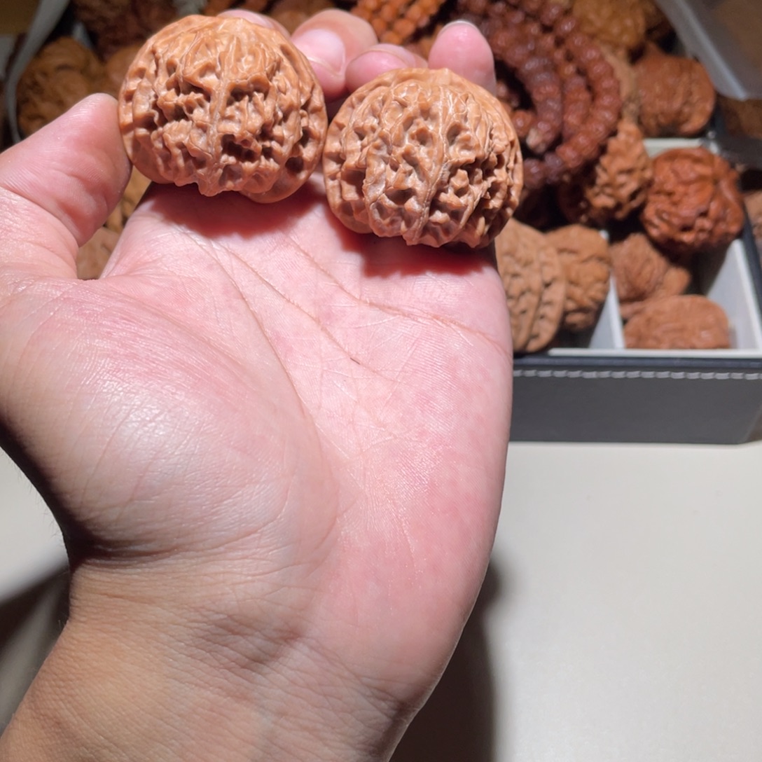 西***北40尺寸全品无修苹果园