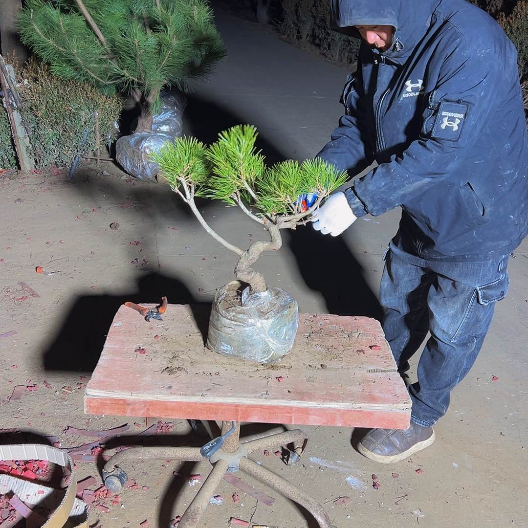 生****顾8888888888888888