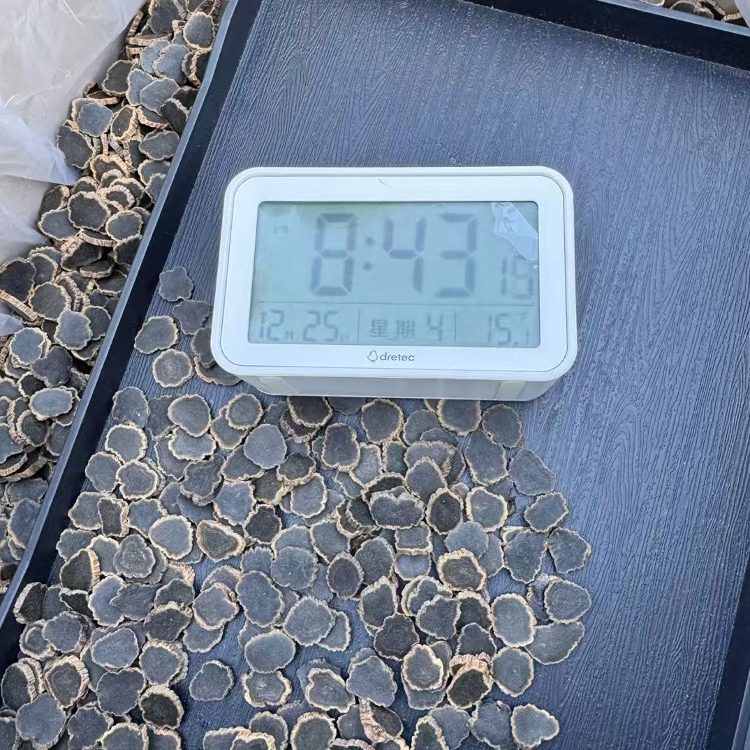 长白山金边黑参片2