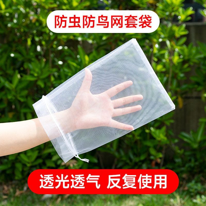 水果套袋防鸟网纱袋瓜果防虫专用袋无花果枇杷葡萄桃子草莓保护