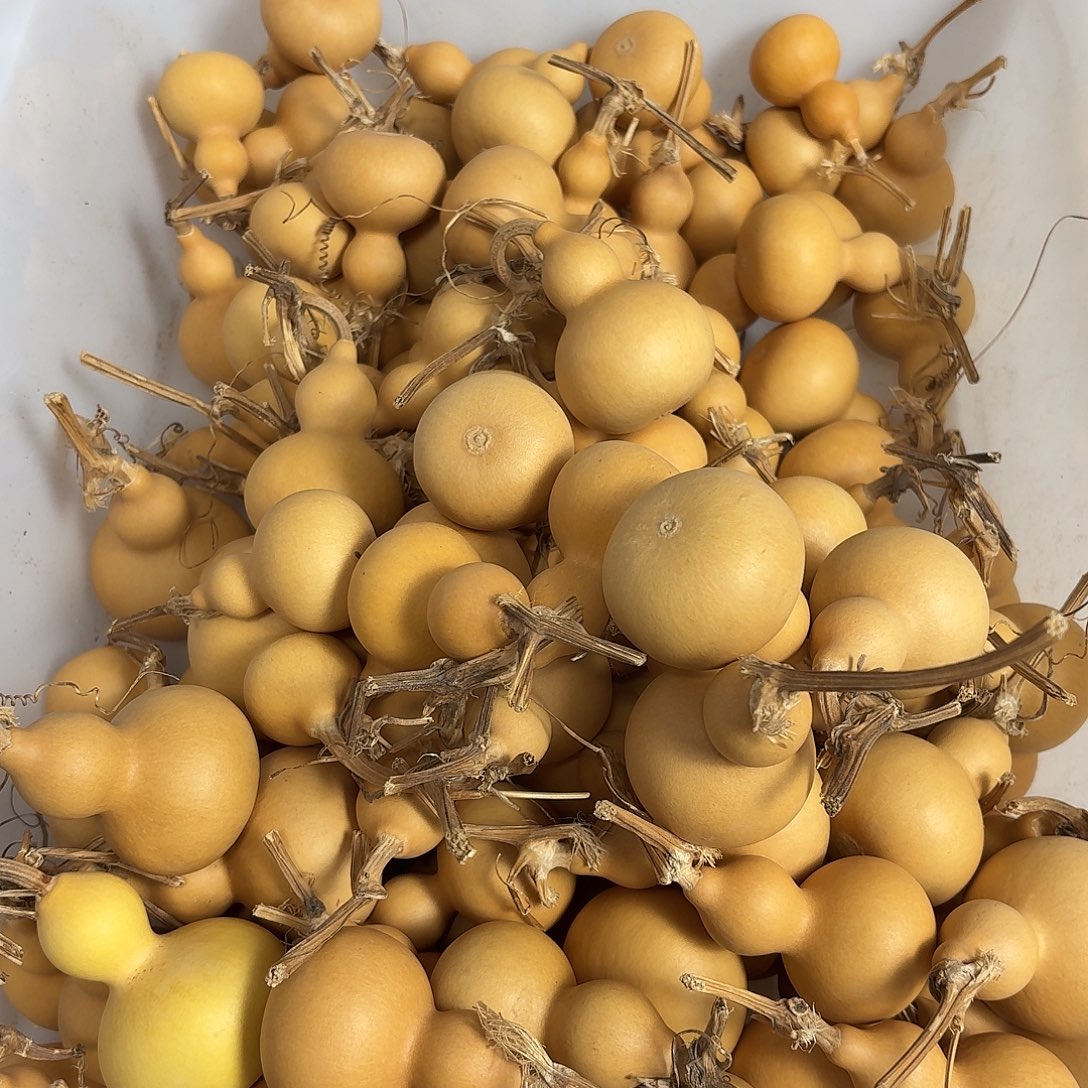 皮***皮不要拍1111111111