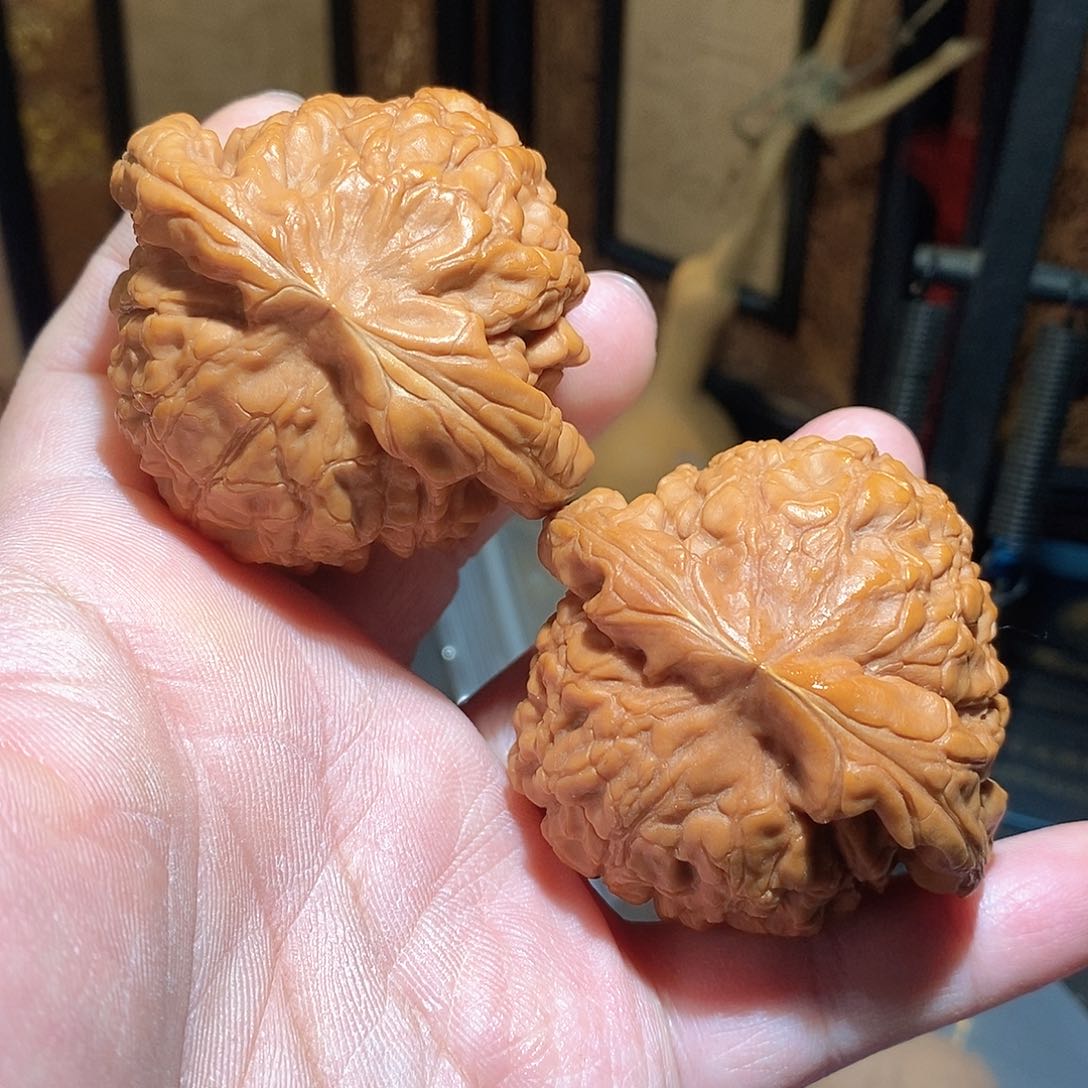 文玩核桃把件56龙鼎全品