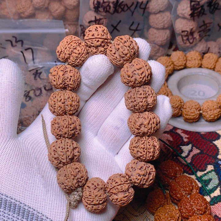 金刚菩提吊坠古龙原生态