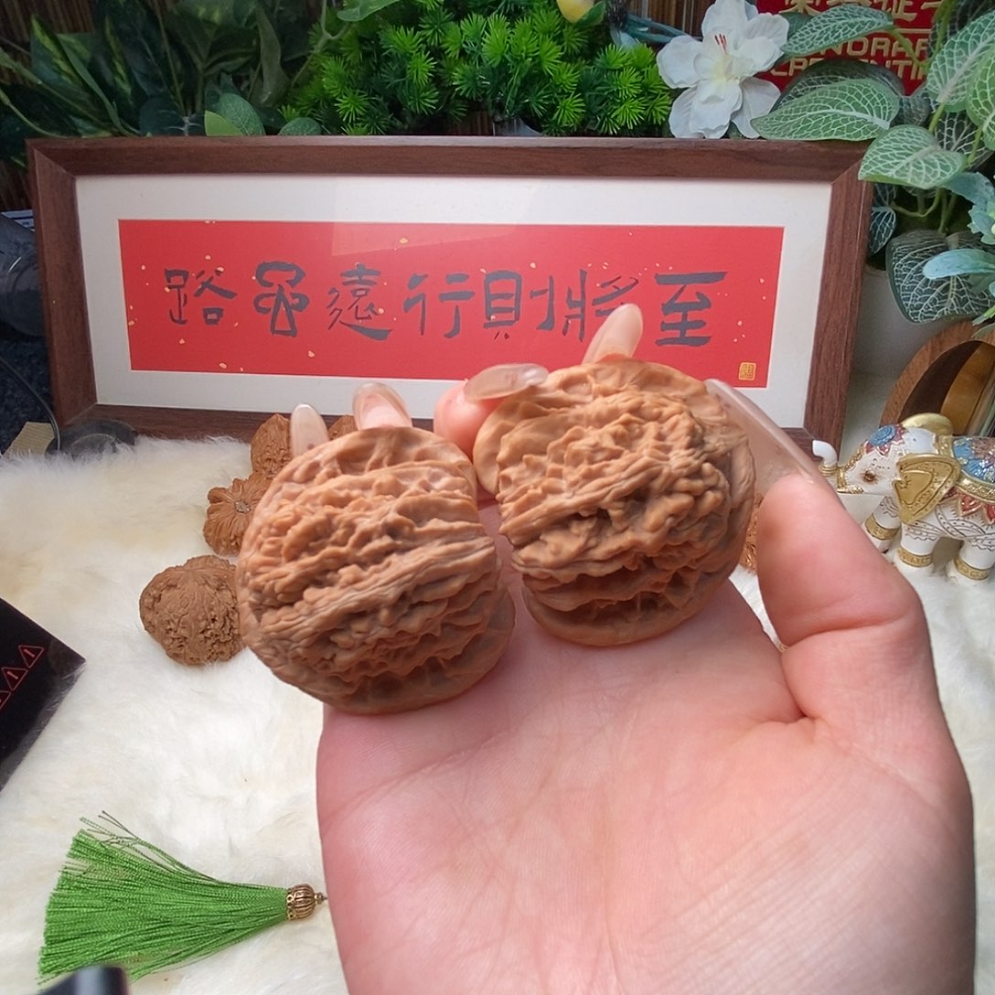 文玩核桃把件879楼子……