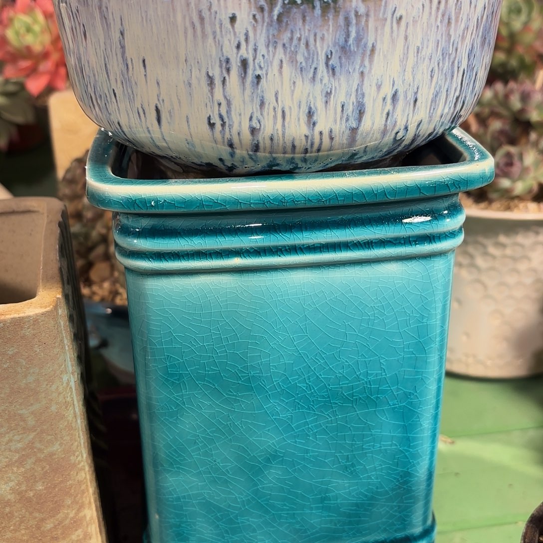 盆盆啦啦啦啦啦啦