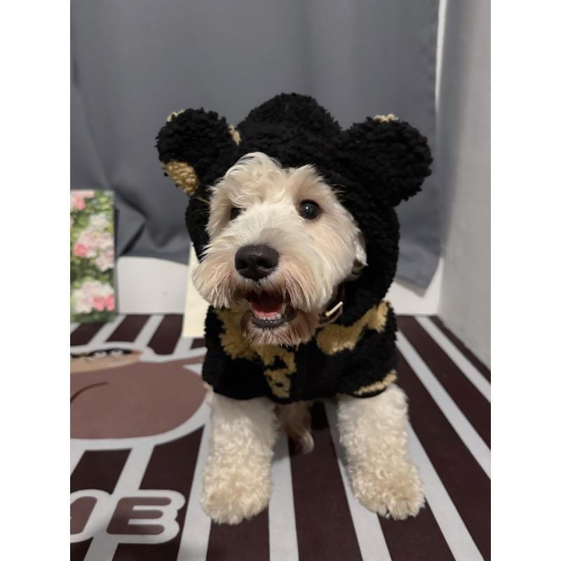 可爱小熊羊羔绒加厚连帽外套泰迪金毛阿拉斗牛柴犬秋冬狗狗衣服