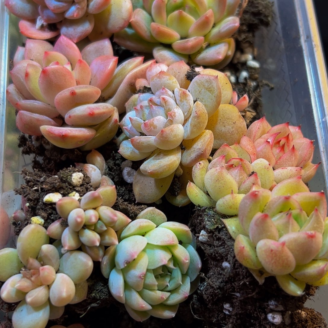 130点点滴滴的方法