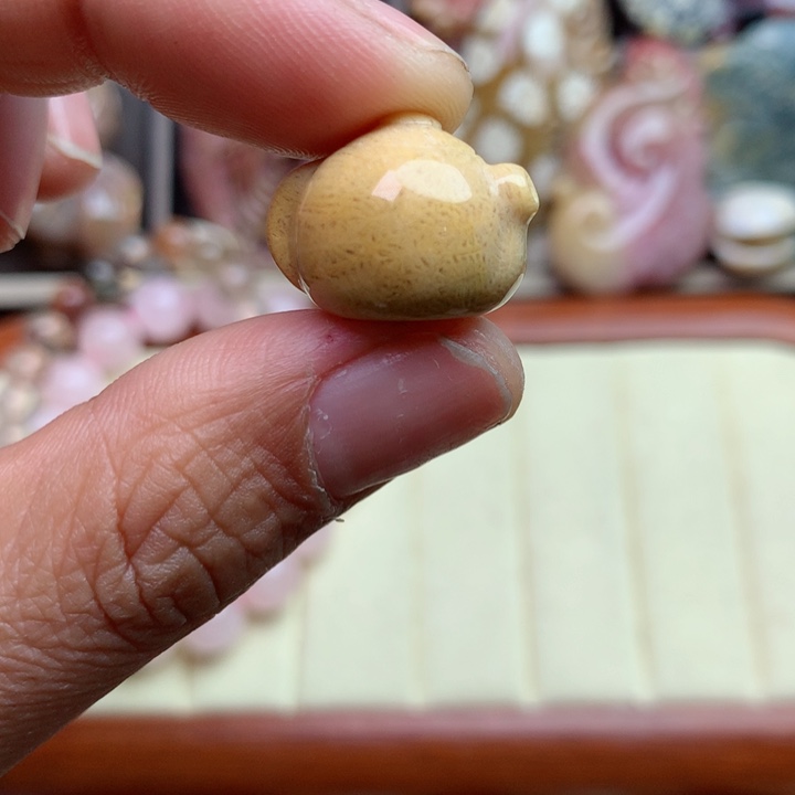 硅化珊瑚（珊瑚玉）颈饰未镶嵌