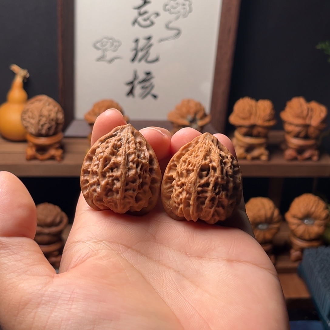 核桃35mm全品金牛