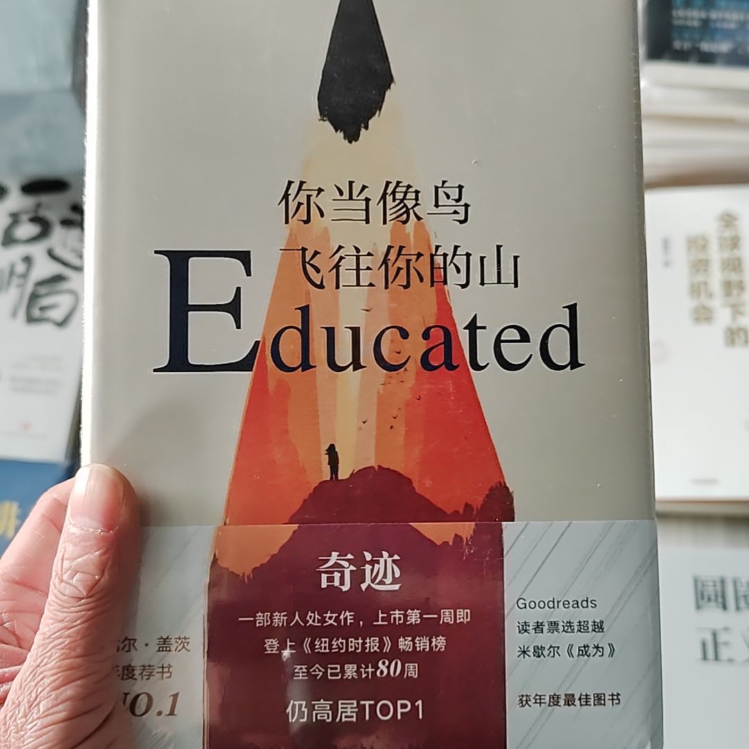 你当像鸟飞往你的山