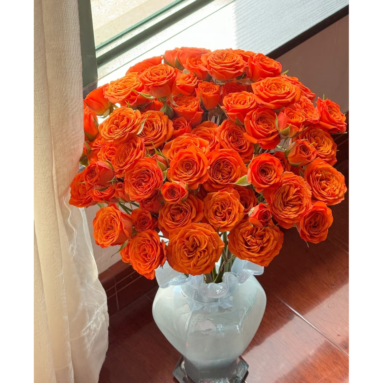 橙色芭比--多头玫瑰