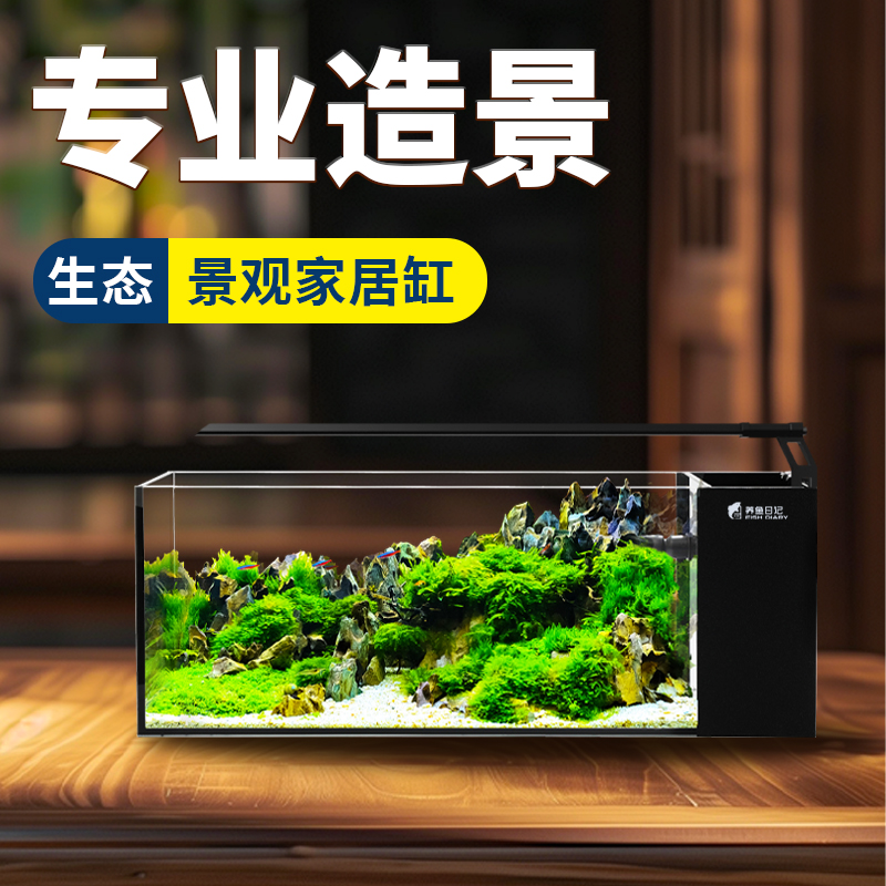 养鱼日记超白玻璃桌面溪流缸侧滤生态原生溪流鱼缸小型客厅家用