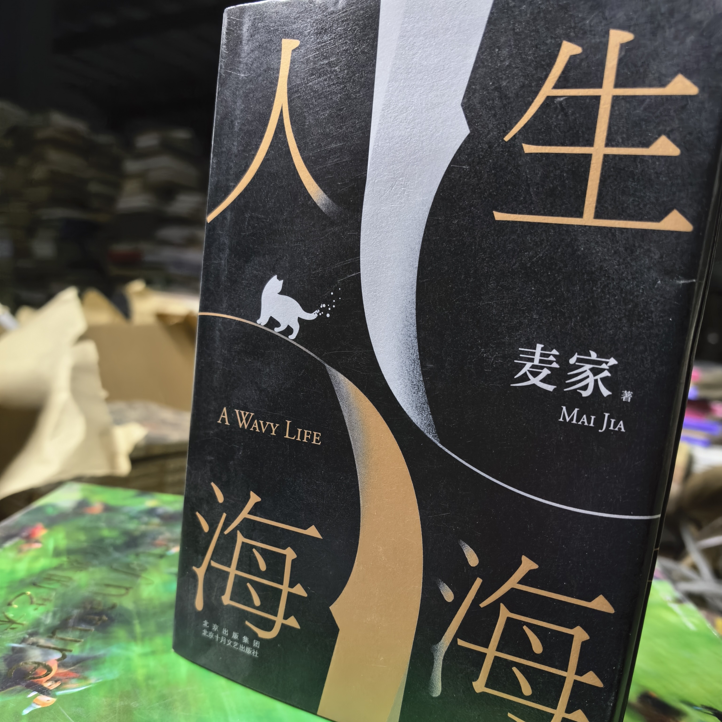 人生海海—卖家正版正版正版微瑕 博图馆推荐