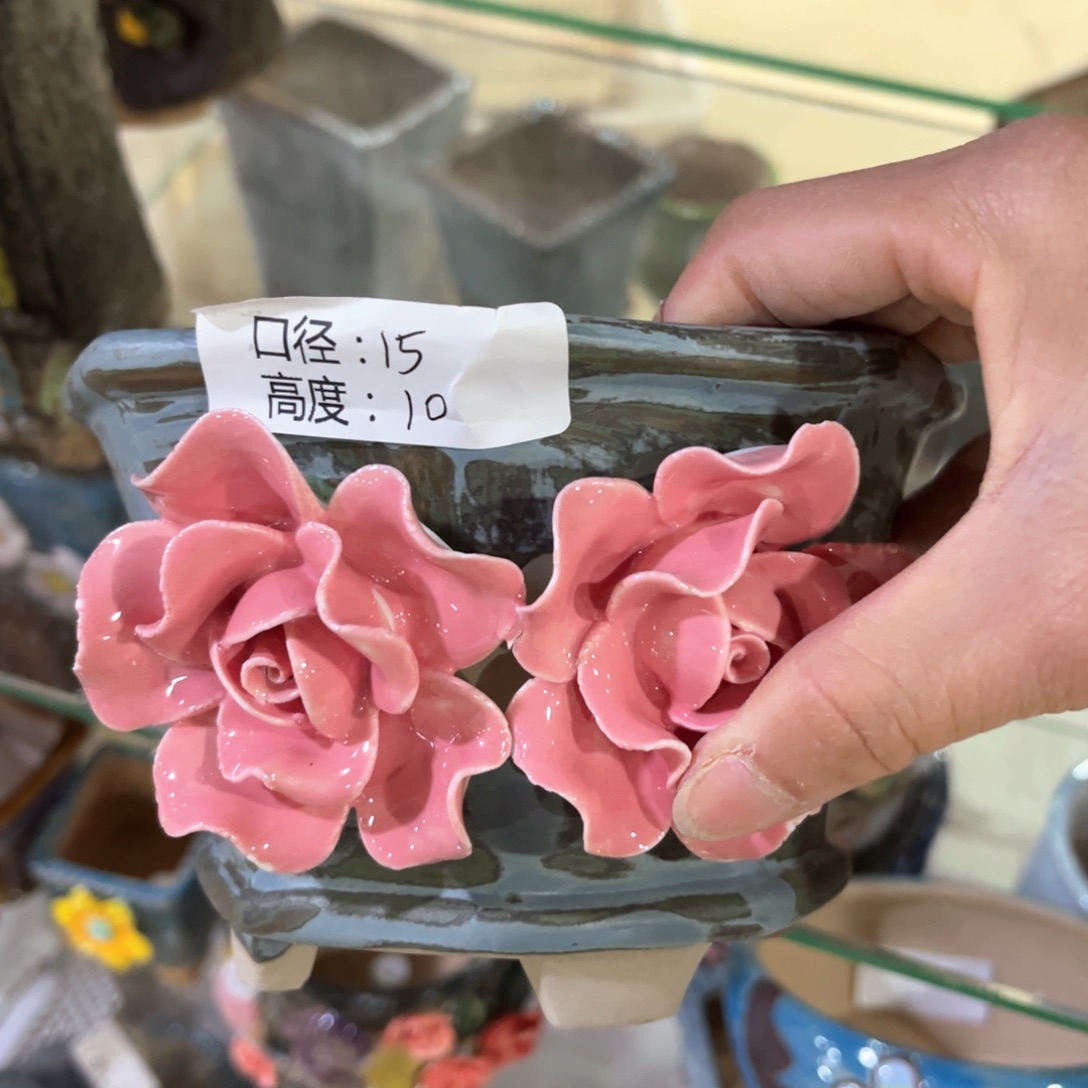 红陶福利福利福利福利