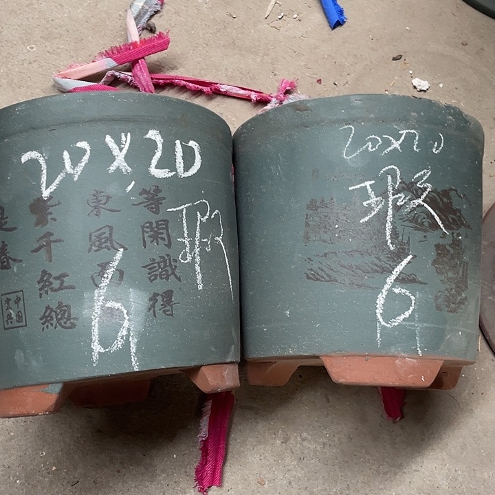 红陶紫砂小时说这些