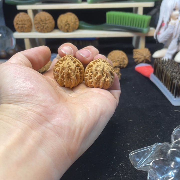 文玩核桃把件小粗筋