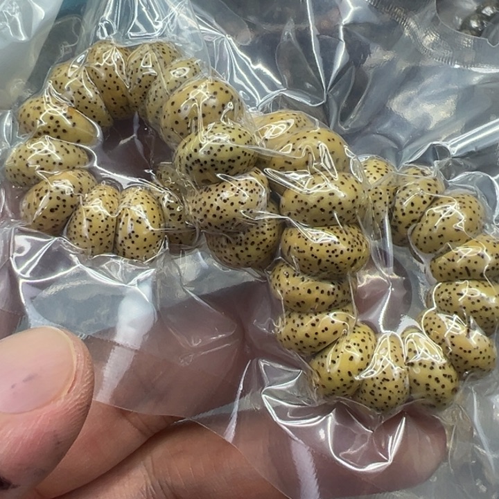 星月菩提手串76黄星月菩提单圈大肠1.3