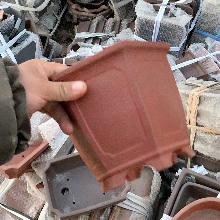 紫砂我的人生真的有一个